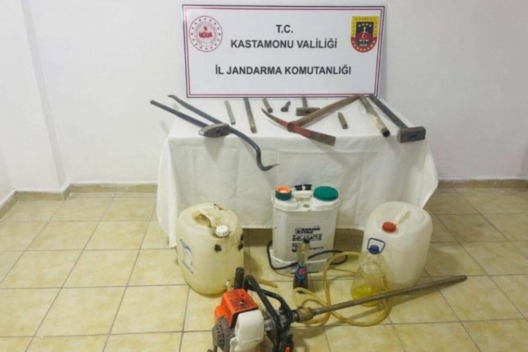 Kastamonu'da define avcılarına su&ccedil;&uuml;st&uuml; operasyon