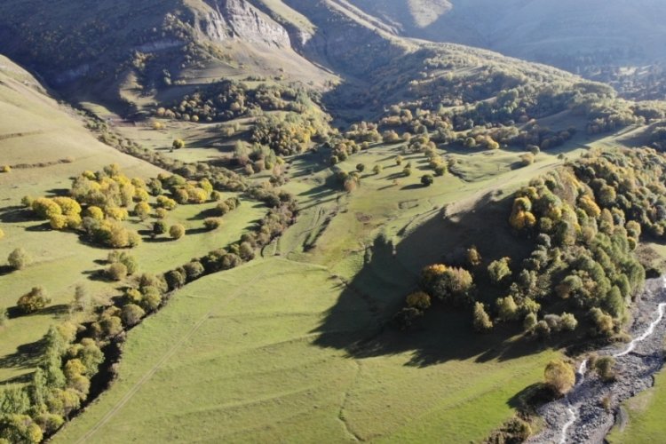 Artvin'de sonbahar erken geldi!