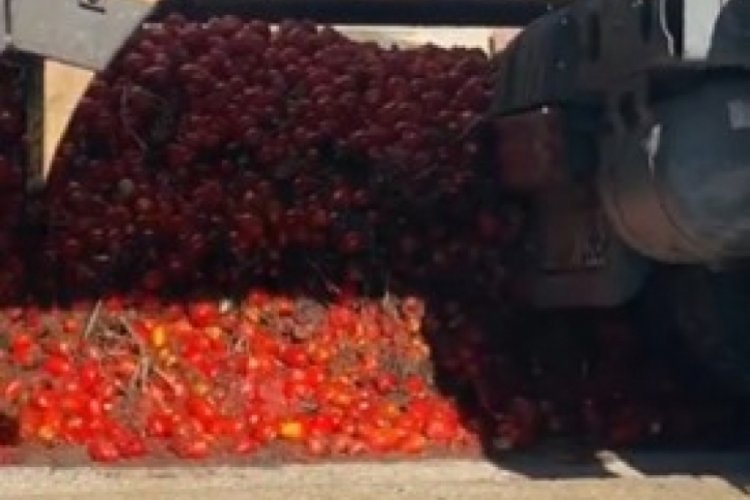 Sal&ccedil;a fabrikasında şoke eden g&ouml;r&uuml;nt&uuml;! Sosyal medyada tepki yağdı