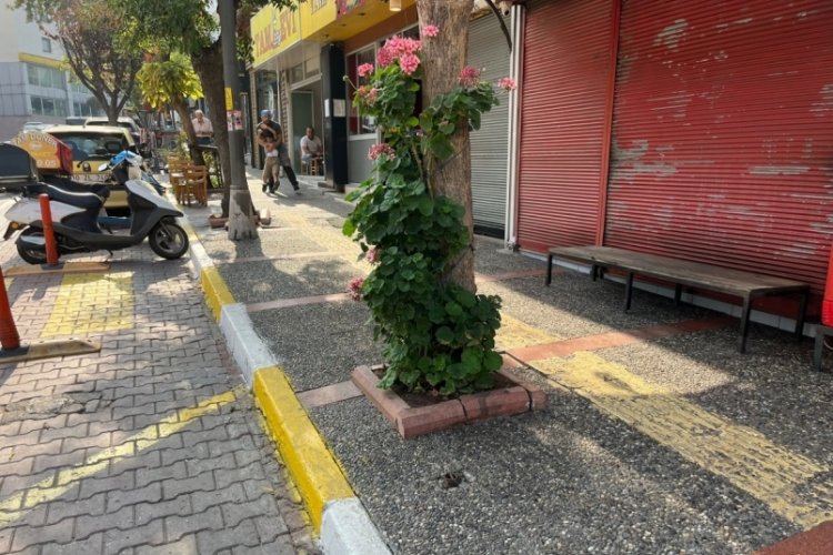 Balıkesir'de ş&uuml;pheli &ouml;l&uuml;m: 1 kişi hayatını kaybetti