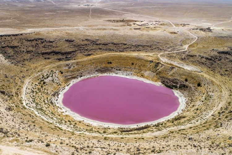 Pembe rengiyle ünlenmişti, tamamen kurudu