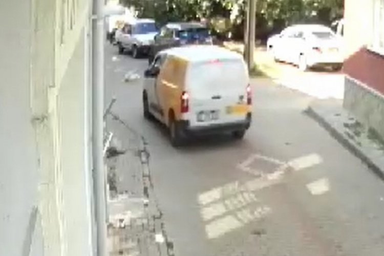 Bursa'da kargo aracı köpeği ezip yoluna devam etti! 