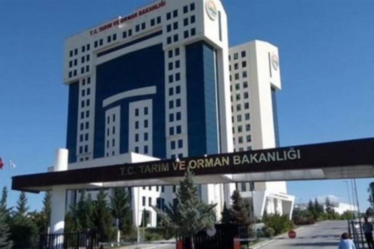 T&uuml;rkiye'nin bu b&ouml;lgelerine havadan aşı atılacak!