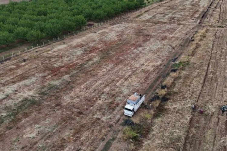 Malatya'da soğanın hasadı tamamlandı