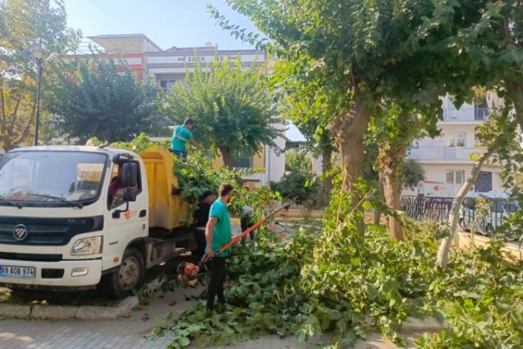 Aydın'da kışa hazırlık: Ağa&ccedil;lara estetik dokunuş!
