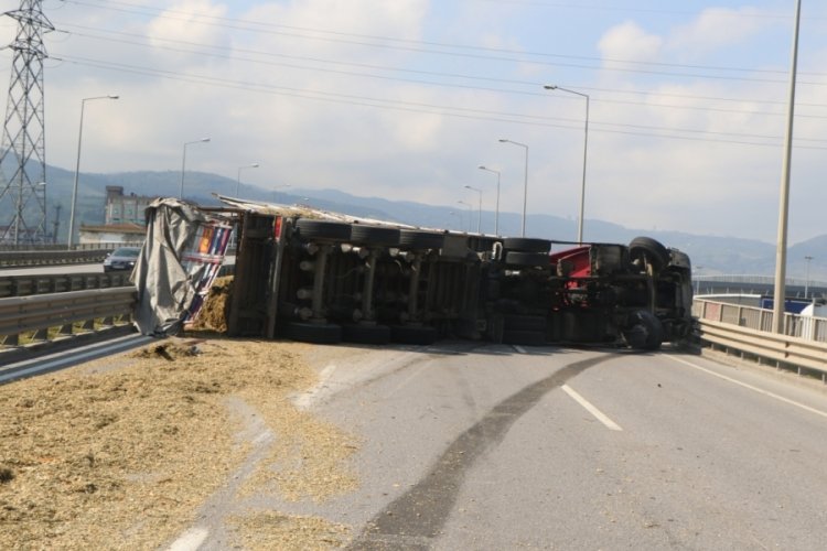 Tır s&uuml;r&uuml;c&uuml;s&uuml;n&uuml; seyir halindeyken arı soktu! Kontrol&uuml; kaybeden tır devrildi