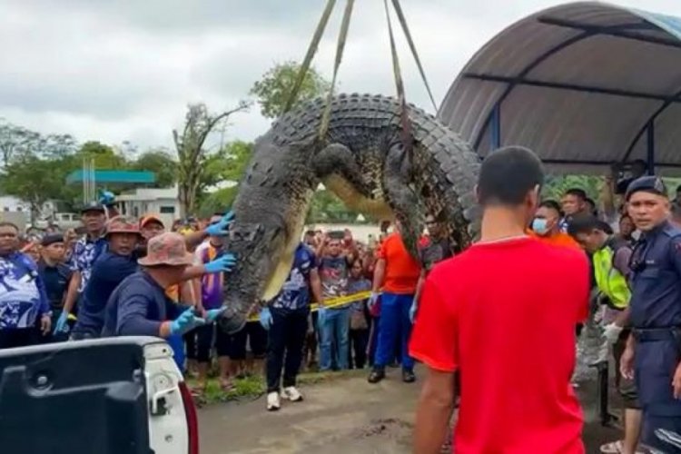 Her yerde aranan çocuk timsahın midesinden çıktı