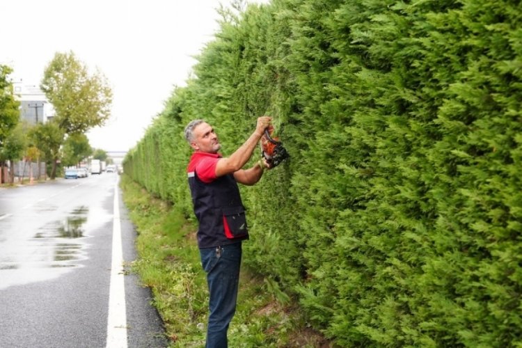 D&uuml;zce'de yeşil alanlar estetik g&ouml;r&uuml;n&uuml;m&uuml;ne kavuşuyor!