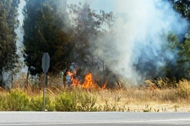 Muğla'da orman yangını!