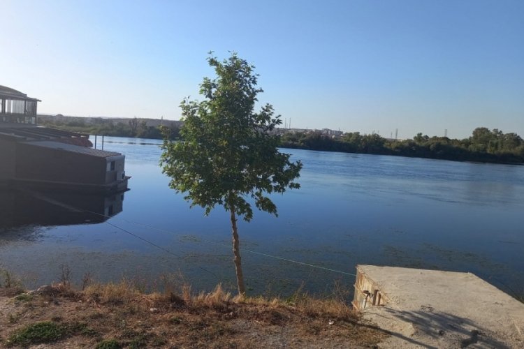 Şanlıurfa'da Fırat Nehri kıyısında erkek cesedi bulundu
