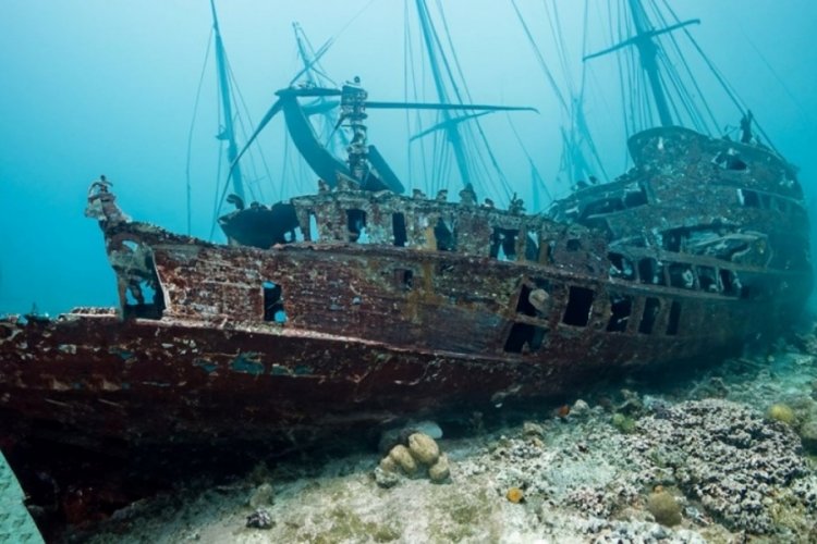 179 yıllık gizem! Hayatta kalmak için kaptanı yemişler 