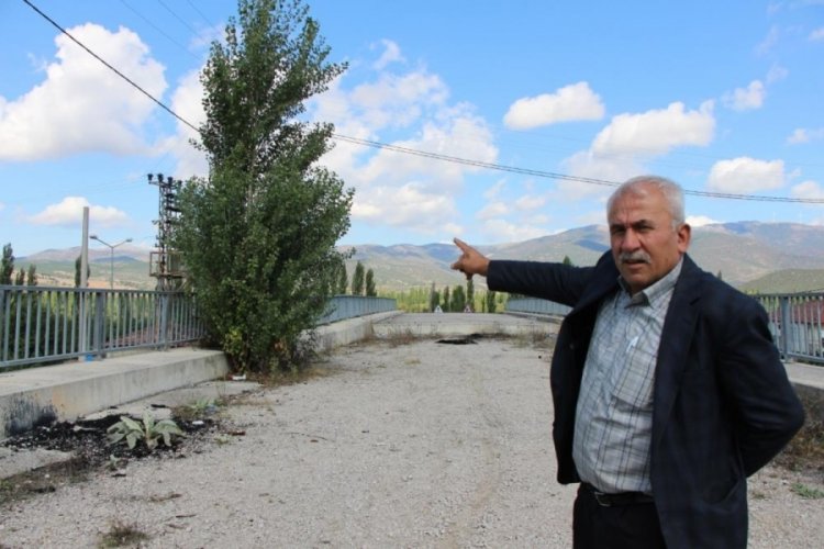 Amasya'da 16 yıldır tamamlanamayan &uuml;stge&ccedil;itte ağa&ccedil;lar bitti