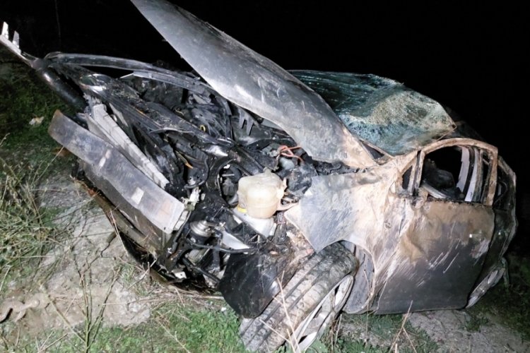 Samsun'da başıboş k&ouml;pek kazaya sebep oldu