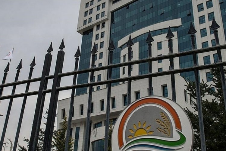 Bakanlıktan domuz eti olaylarına ilişkin a&ccedil;ıklama