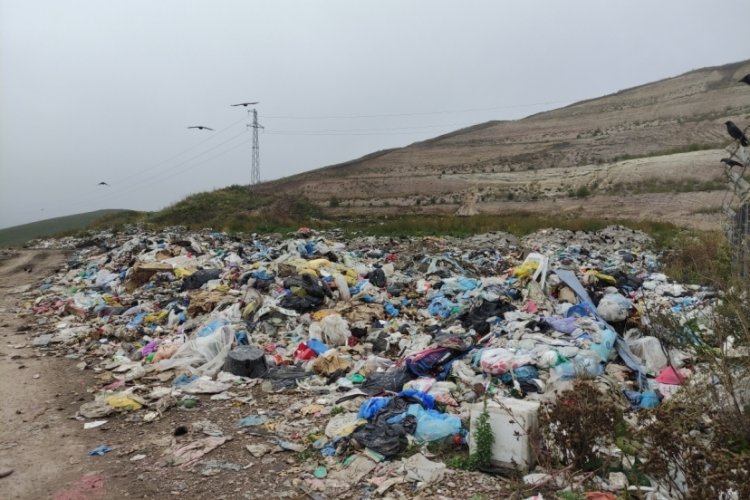 Ardahan'da çöp katliamı:Vatandaş tedirgin