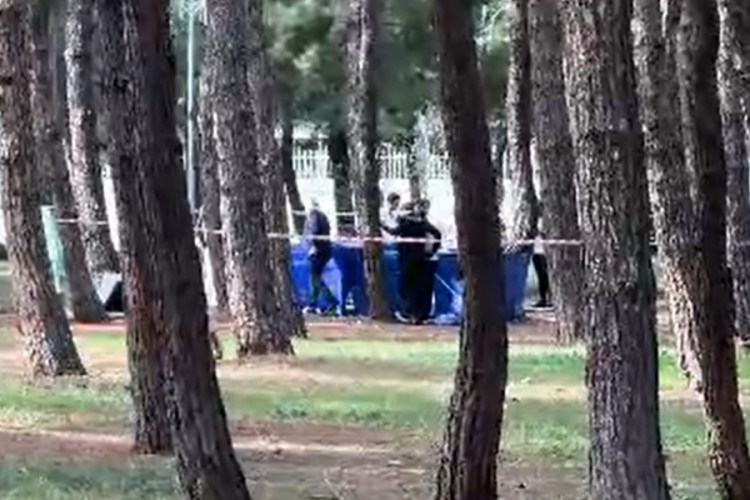 İstanbul'da hastane bah&ccedil;esinde karısını &ouml;ld&uuml;rd&uuml;kten sonra intihar etti