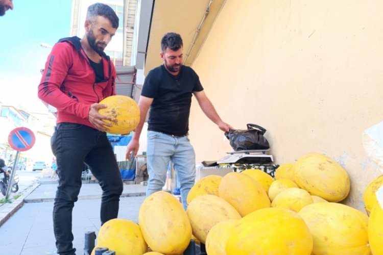 Tunceli'de meşhur çemişgezek kış kavunu tezg&acirc;hlarda satışa çıktı