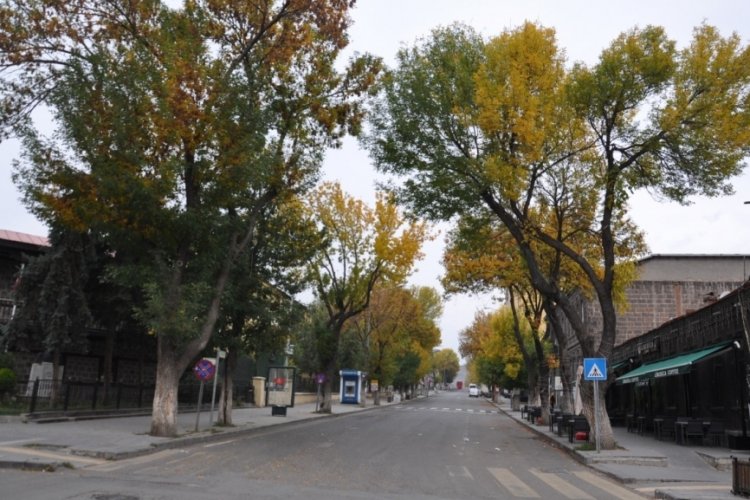 Kars'ın sonbahar yaprakları b&uuml;y&uuml;leyici pastel renkleriyle g&ouml;rsel ş&ouml;len sundu!