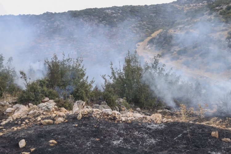 Gaziantep'te orman yangını &ccedil;ıktı