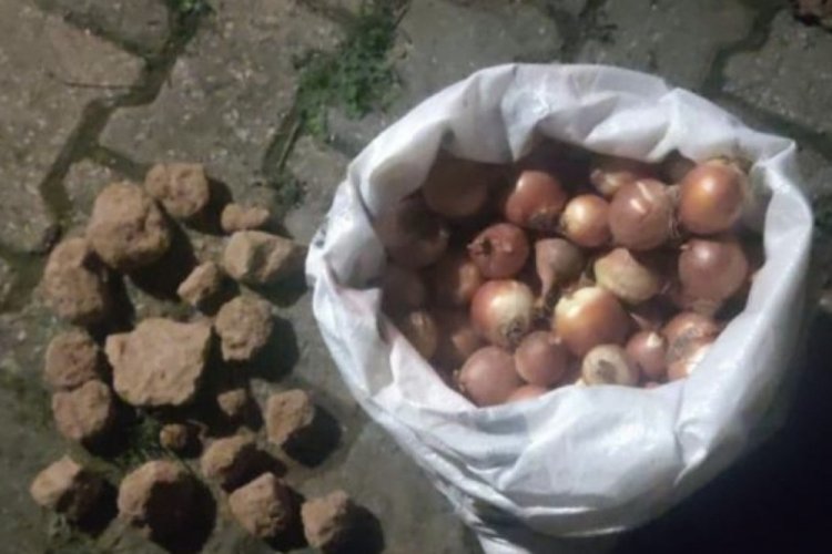 Sonunda buda oldu: Soğan &ccedil;uvalından &ccedil;ıkanlar şoke etti