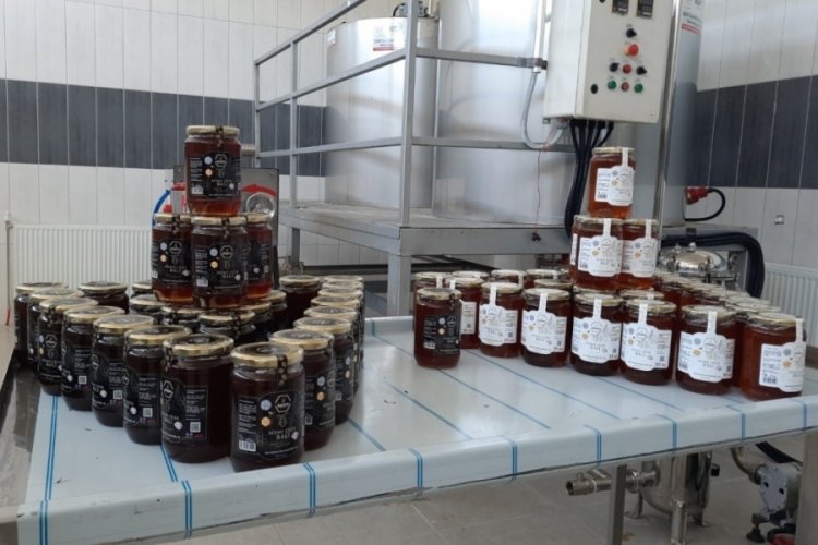 Bozkırda yeni hasat ballar paketlenmeye başladı 