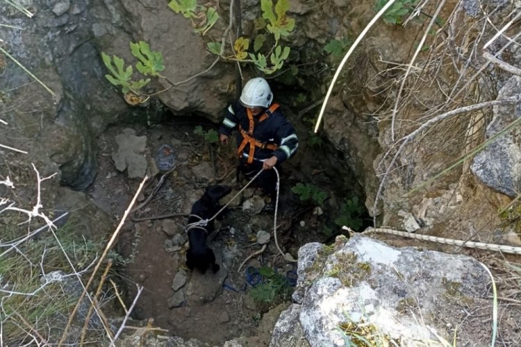 Kuyuya d&uuml;şen k&ouml;peği itfaiye kurtardı