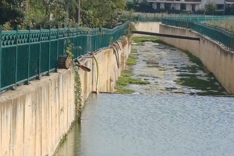 Bunu da gördük! Bursa'da derenin içine baraj yapmışlar 