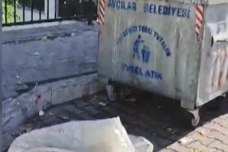 İstanbul'da &ccedil;&ouml;pte bulunmuşlardı: Boyunları kırılarak &ouml;ld&uuml;r&uuml;lm&uuml;şler