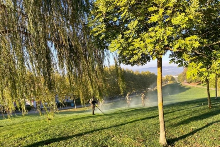 Sakarya Büyükşehir'den kente farklı renklerde  sonbahar estetiği!