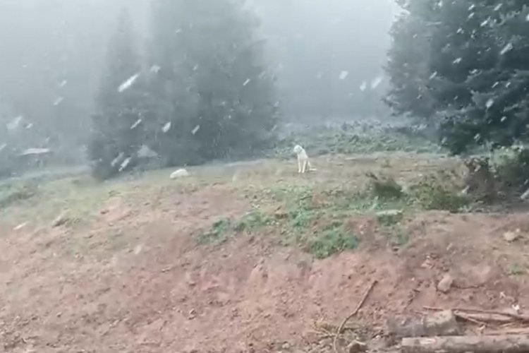 &Ccedil;ankırı Ilgaz dağında kar y&uuml;z&uuml;n&uuml; g&ouml;sterdi