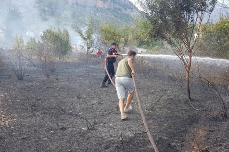 İşyerinden palmiyeye sı&ccedil;rayan yangın korkuttu