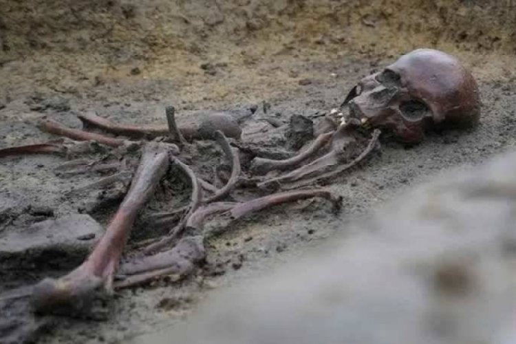Olağan&uuml;st&uuml; iyi korunmuş 50 Viking iskeleti bulundu