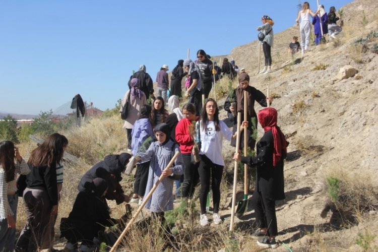 Sivas'ta 6 ülkeden gelen 10 kişilik gönüllü ekip ağaçlandırma çalışmalarına katıldı