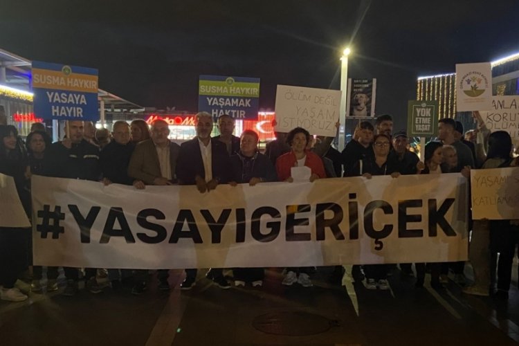 Bursa'da sokak hayvanları yasasına tepki sürüyor!&nbsp;