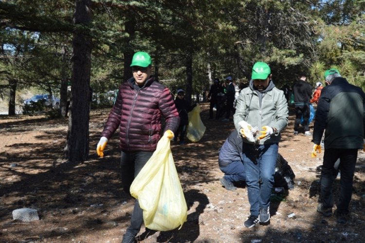 Bursa ve çevre illerde orman temizliği 