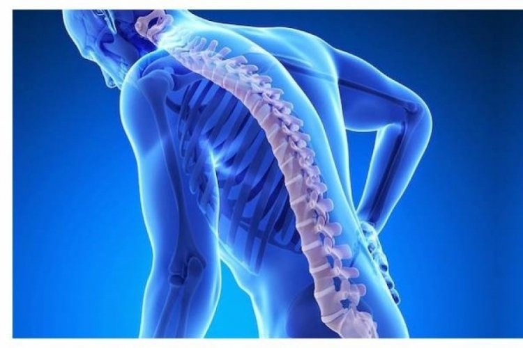 Dünya Osteoporoz Günü nedir? Dünya Osteoporoz Günü ne zaman kutlanır? Dünya Osteoporoz Günü neden kutlanır? 