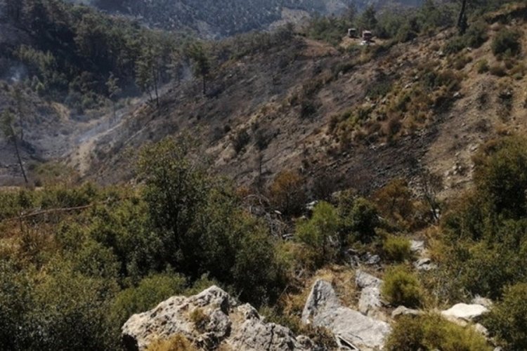 Muğla'da orman yangınına m&uuml;dahale, 4'&uuml;nc&uuml; g&uuml;n&uuml;nde s&uuml;r&uuml;yor