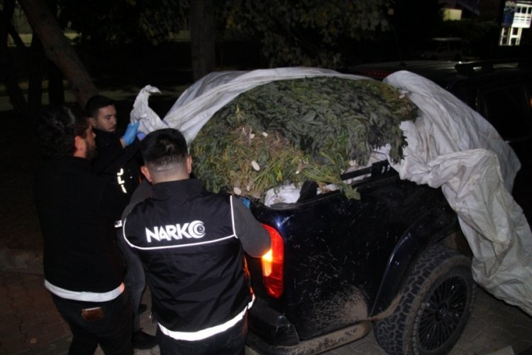 Bing&ouml;l'de 542 kilo esrar ele ge&ccedil;irildi