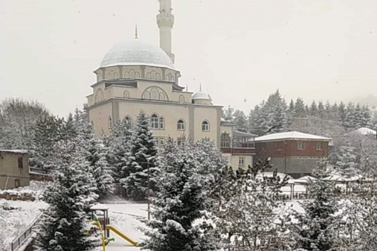 Ordu'nun y&uuml;ksek kesimlerinde kar yağışı