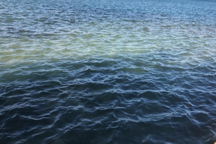 Muğla Dat&ccedil;a'da atıksu borusu patladı, denizin rengi değişti