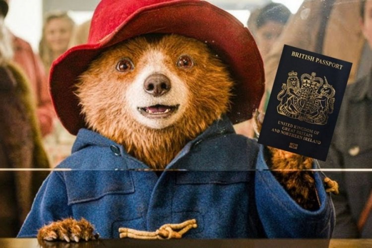 Ayı Paddington'a pasaport verildi 