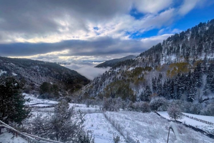 G&uuml;m&uuml;şhane'de kar ve sis buluştu ortaya tablo gibi bir fotoğraf &ccedil;ıktı