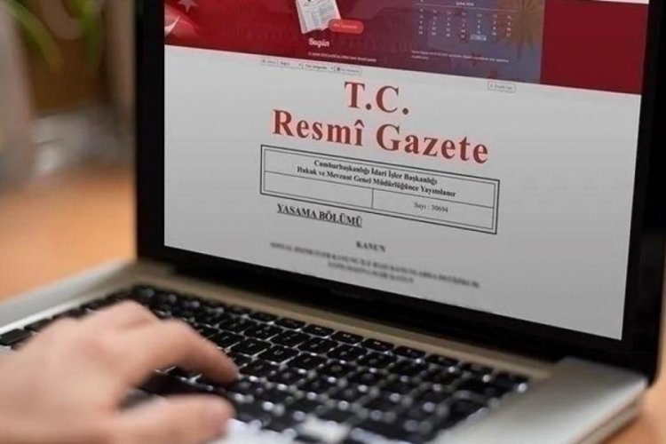 Bebek &ouml;l&uuml;mleri i&ccedil;in kurulan Meclis Araştırma Komisyonu kararı Resmi Gazete'de