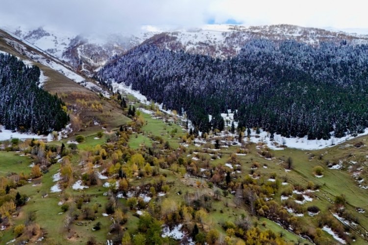 Artvin'de sonbahar g&uuml;zelliği b&uuml;y&uuml;ledi