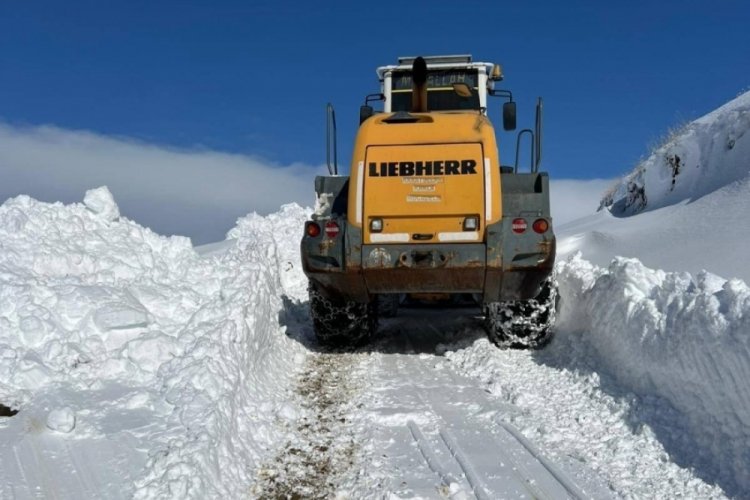 Hakkari'de kar yağışı hayatı olumsuz etkiledi: Bazı yollar ulaşıma kapandı!