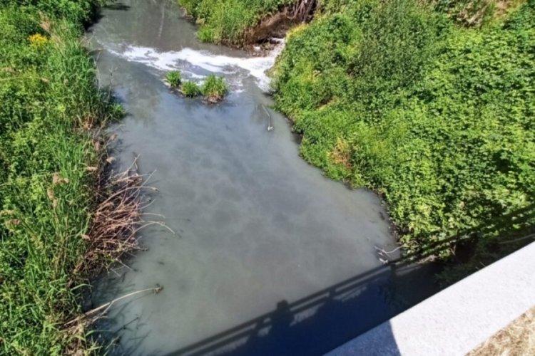 Karsak Deresi,&nbsp;İznik Gölü'ne böyle mi faydalı olacak?