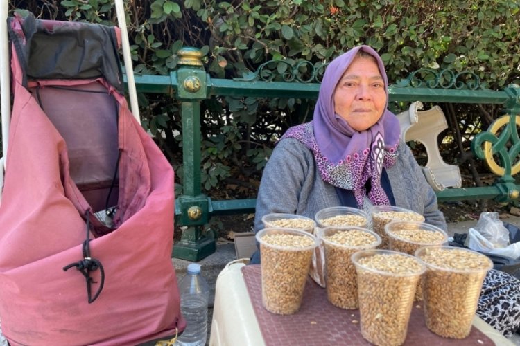 Kuş sevgisini işe döktü