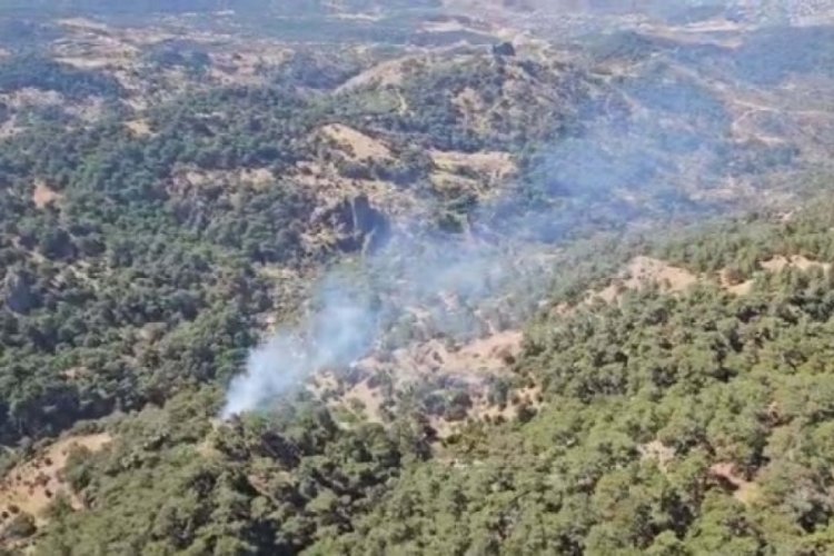 Ormanlara giriş yasağı uzatıldı! Valilik karar aldı
