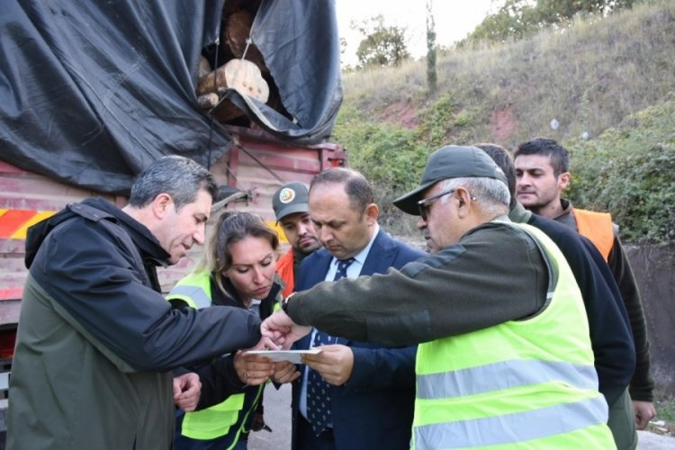 Bursa'da ormanlar kontrol altında