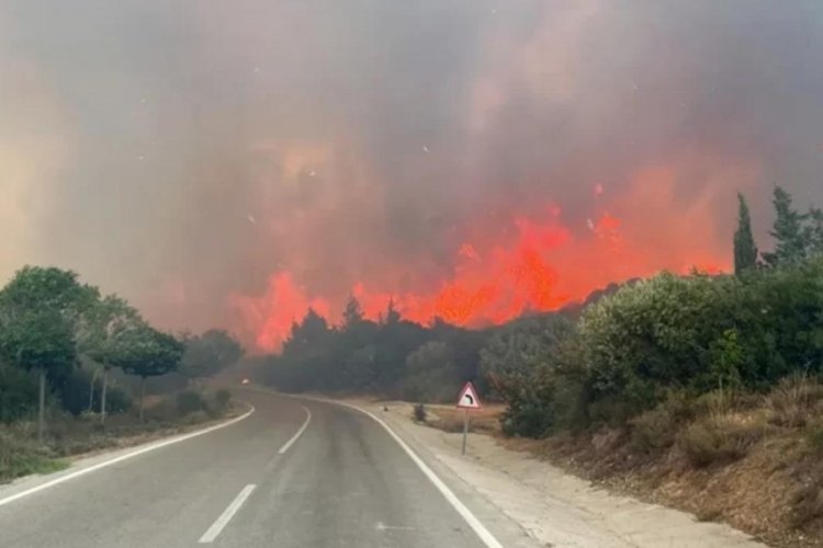 Valilik a&ccedil;ıkladı: Ormanlara giriş yasağı uzatıldı